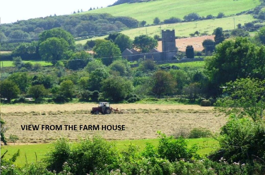 Wonderful Setting Farmhouse Apartment Wicklow Buitenkant foto